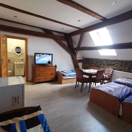 Nad Neonet ボガティニャ