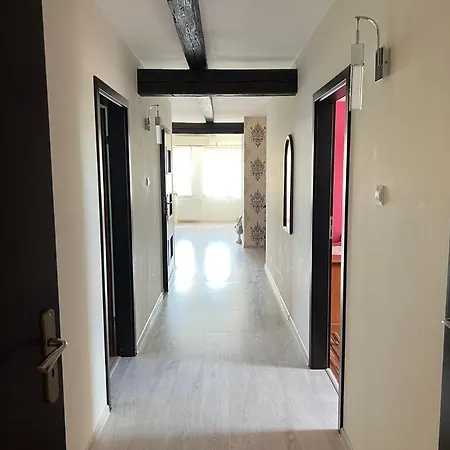 Nad Neonet ボガティニャ