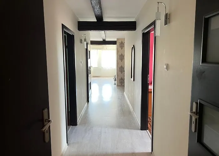 Nad Neonet 보가티니아